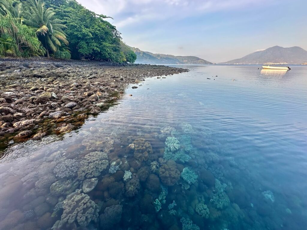 Alami Alor House Reef