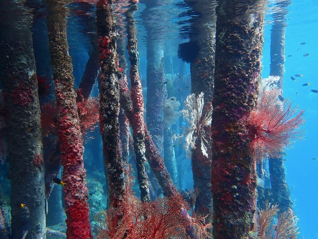 The pillars of Misool Eco Resort's Jetty