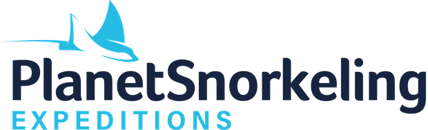 Planet Snorkeling Logo