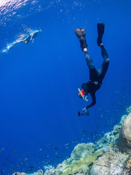 slides-planet-snorkeling - 2