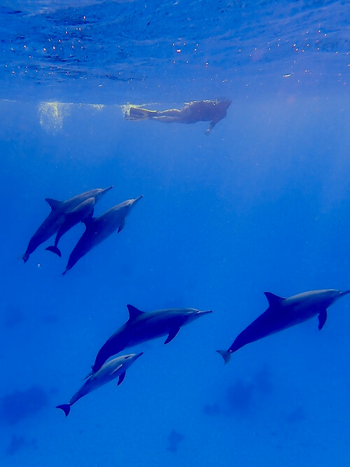 slides-planet-snorkeling - 5