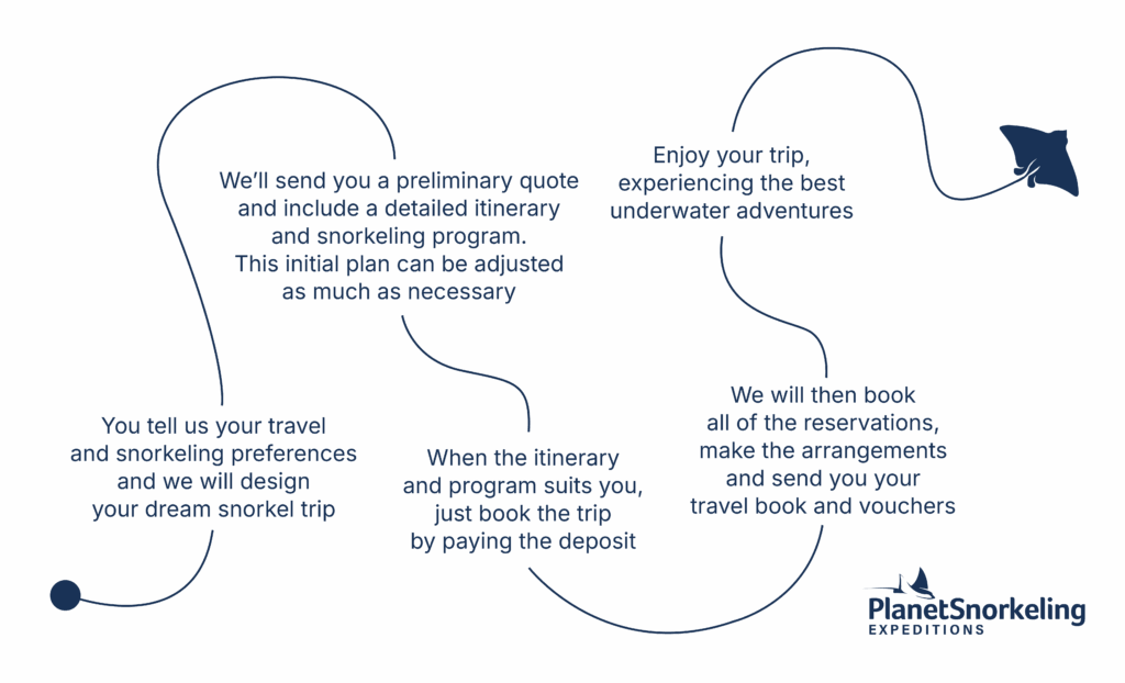 Travel Planning Steps Planet Snorkeling