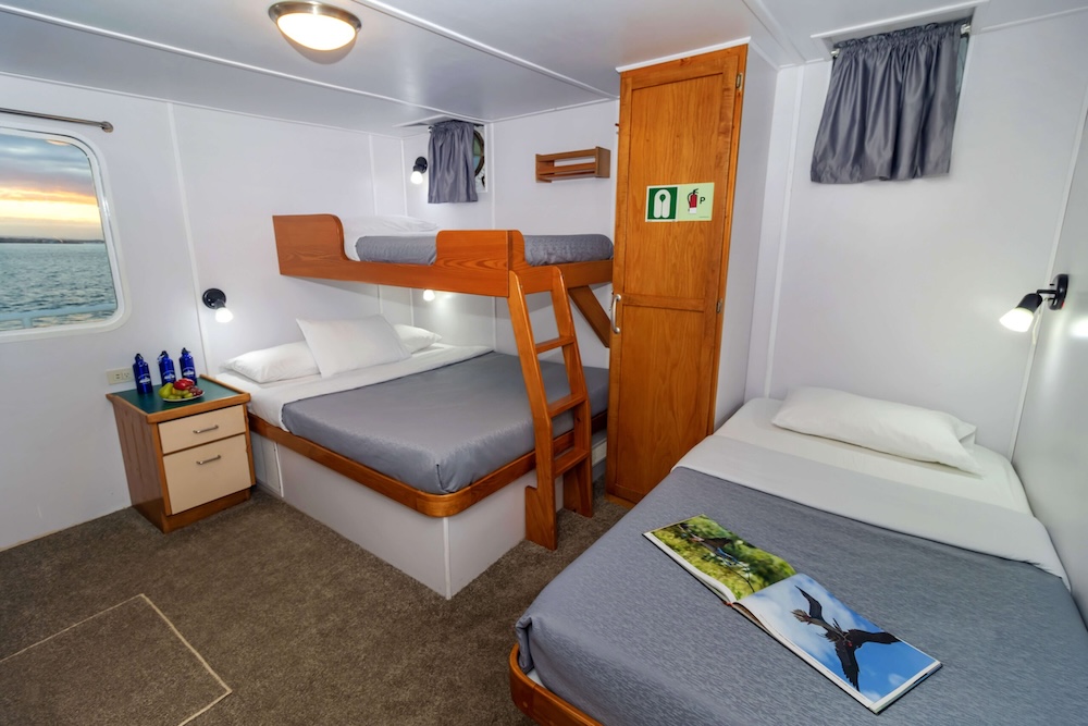 Cachalote Explorer upper deck cabin