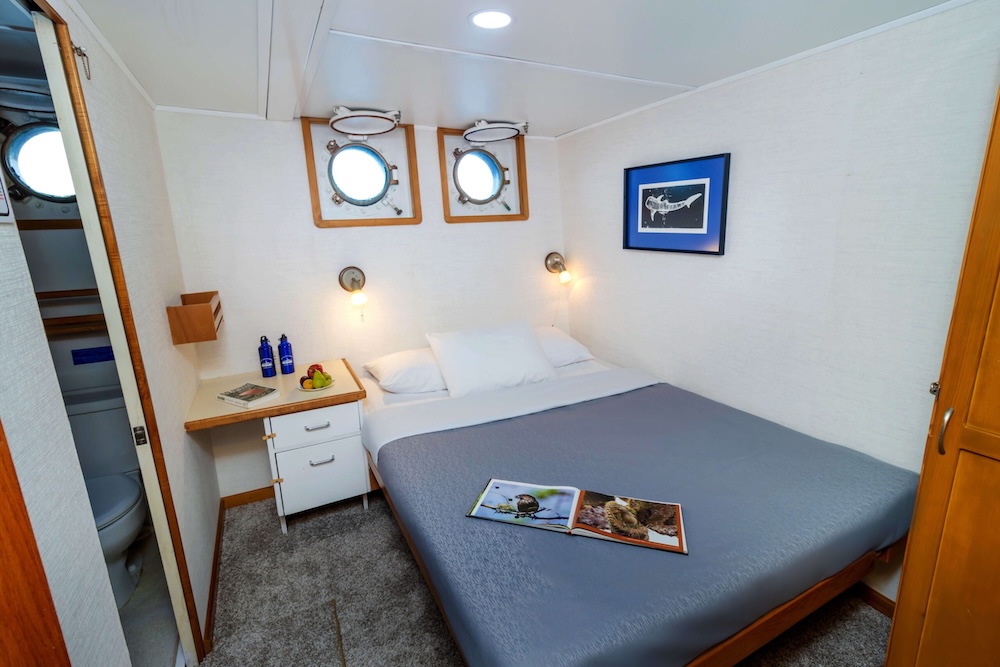 Lower deck cabin with double bed - Cachalote