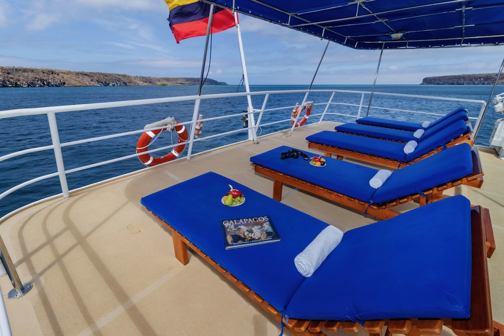 Cachalote Explorer Outer Deck