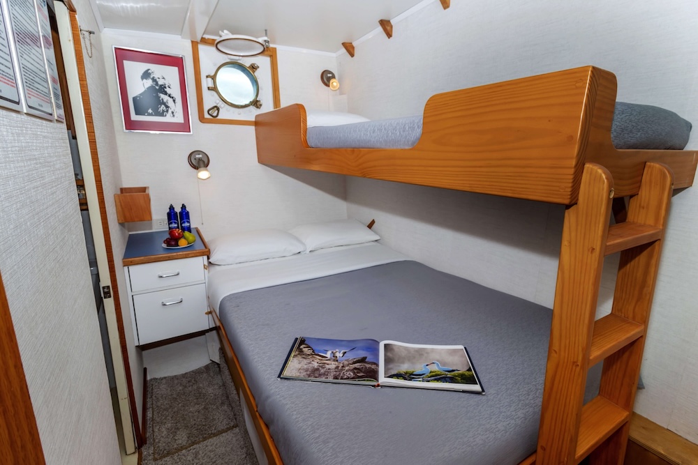 Cachalote Explorer cabin