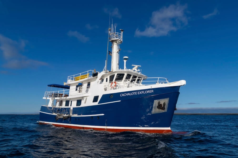 Cachalote Explorer