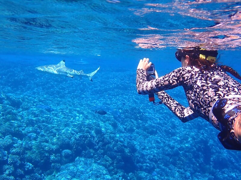 Snorkeling in Fakarava