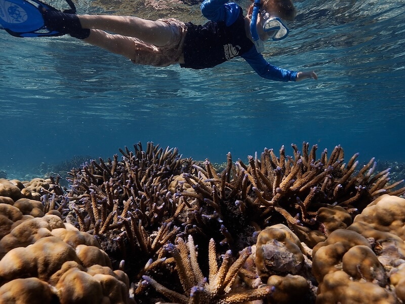 Snorkeling in the Solomon Islands