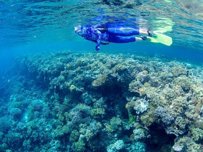 Snorkeling in Wakatobi