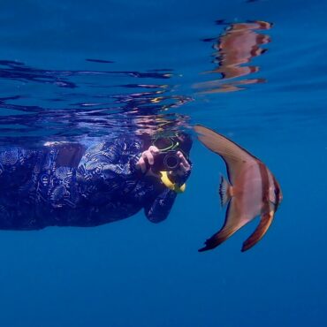 Spadefish - Papua Explorers 2026