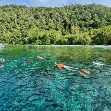 Snorkeling in Papua Explorers - Papua Explorers 2026