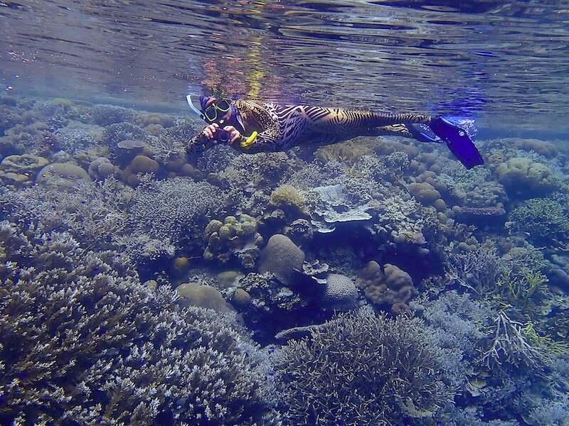 Snorkeling in the Dampier Strait