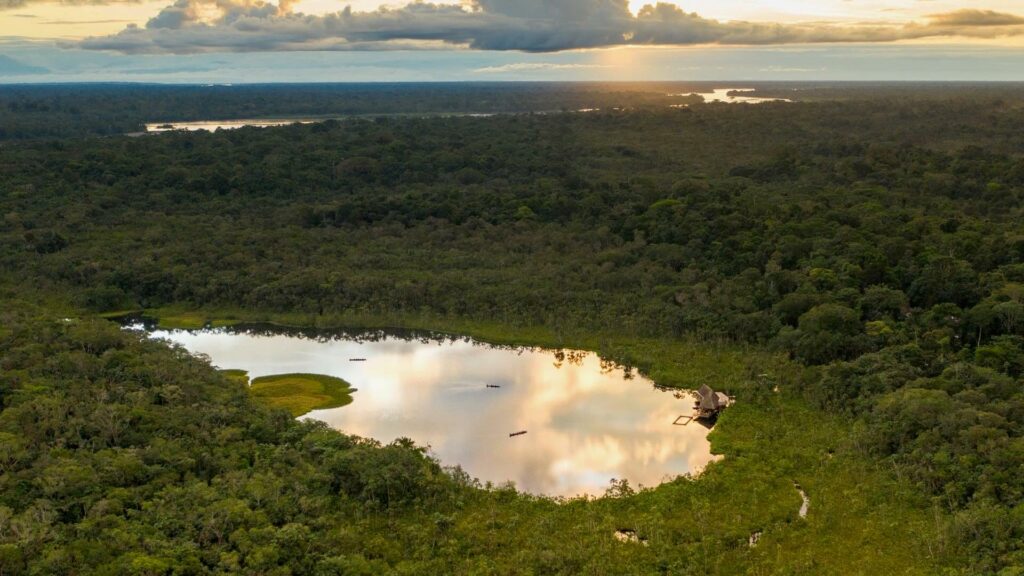 Amazon Lodge