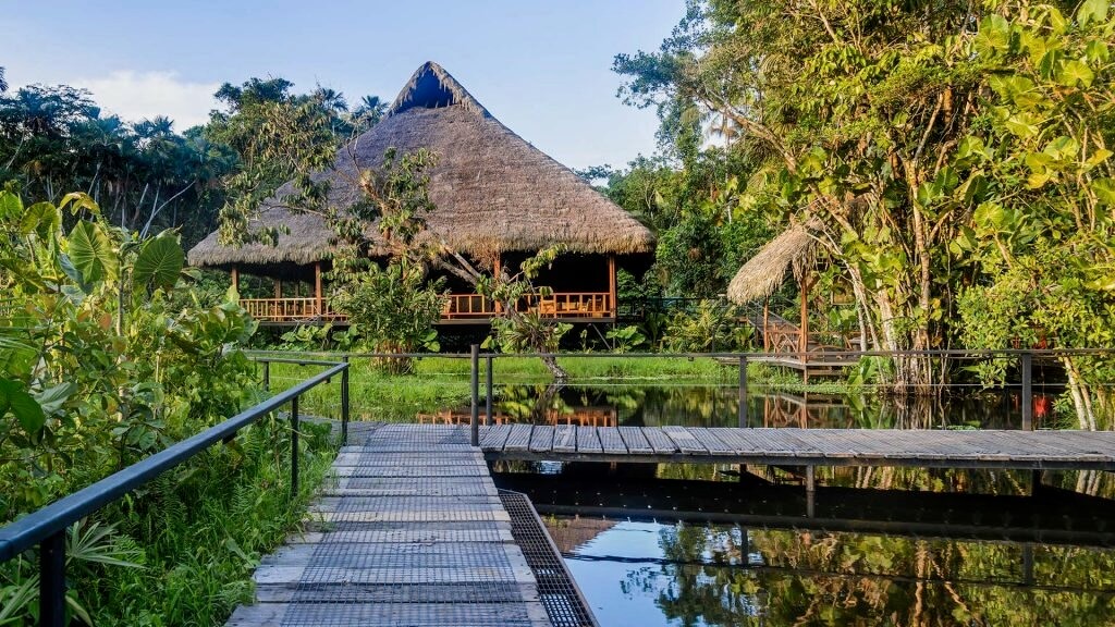 Amazon Lodge