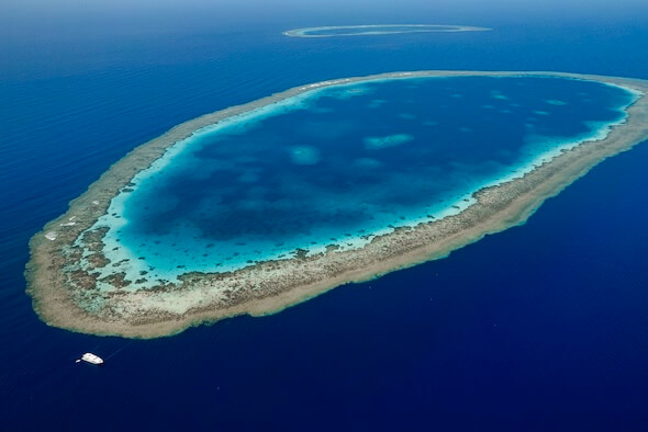 Snorkeling expedition Saudi Arabia